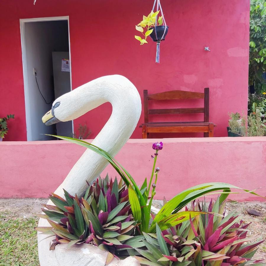 Espaco Slow Living Flor Do Pantanal Piraputanga Eksteriør bilde